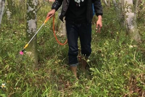 敌草快除草剂使用方法
