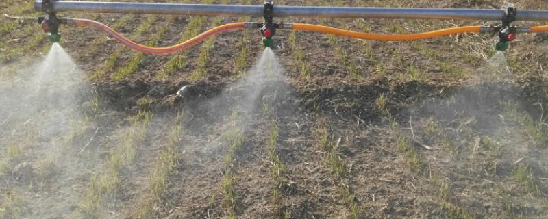 敌草快二氯盐和敌草快有什么区别