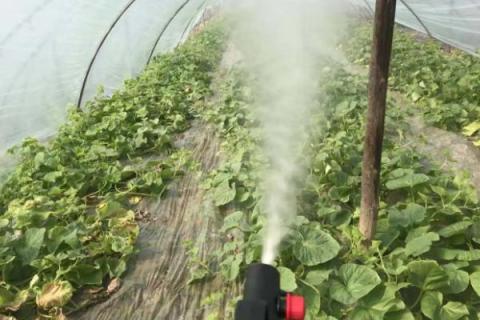 敌草快二氯盐和敌草快有什么区别