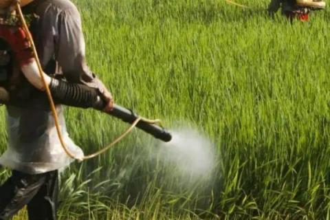 敌草快二氯盐和敌草快有什么区别