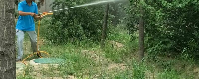 噻苯隆膨果最大用量