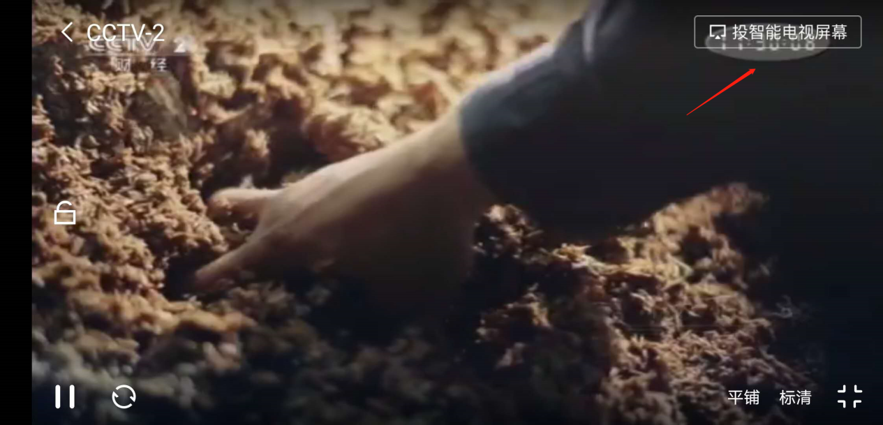 网络电视怎么搜地方台