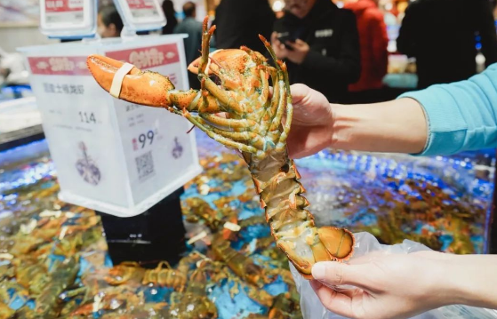 盒马会员海鲜打折吗