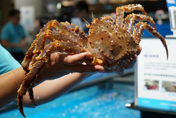 盒马买海鲜提供冰块吗