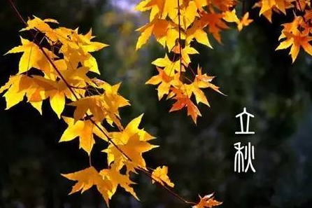 立秋后还睡凉席可以吗