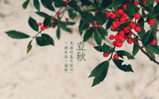 立秋后睡凉席会得荨麻疹吗