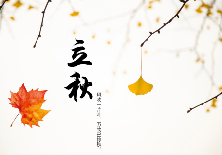 立秋后是秋天还是秋分后是秋天