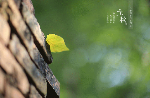 立秋后天黑的早了吗