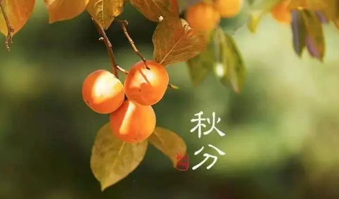 2021秋分会不会降温