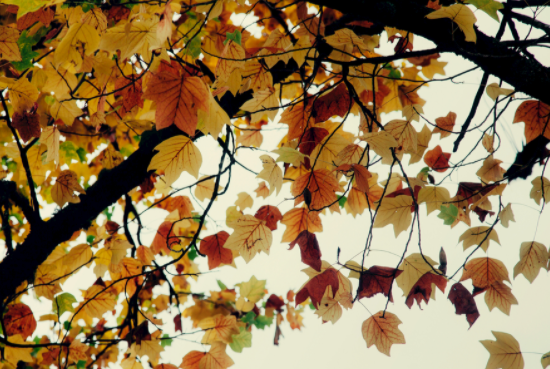 秋天为什么早晚温差大