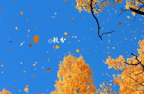 2021秋分雨水多吗