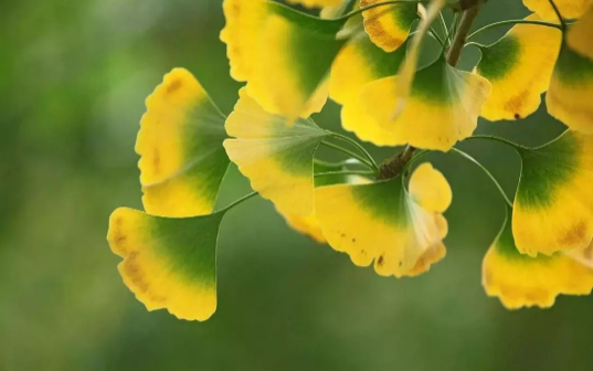 2021秋分雨水多吗