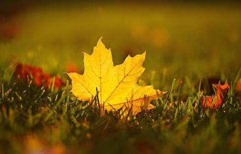 今年秋天来得早还是晚2021