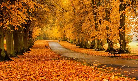 今年秋天来得早还是晚2021