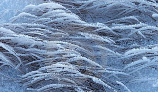 2022年立春后会有霜吗