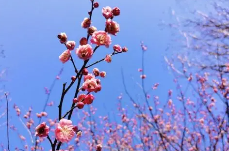 2022年谁躲春