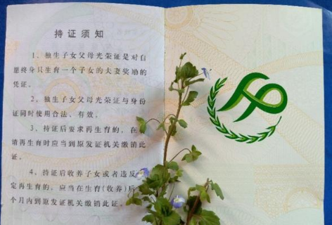 独生子女证丢失怎么补办2021年