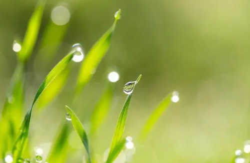 婚前躲春必须去婆婆家吗