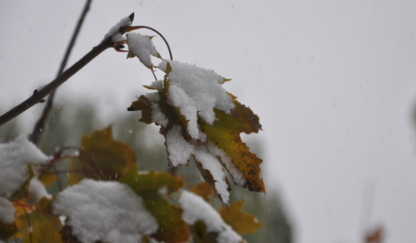 小雪几天后大雪2021