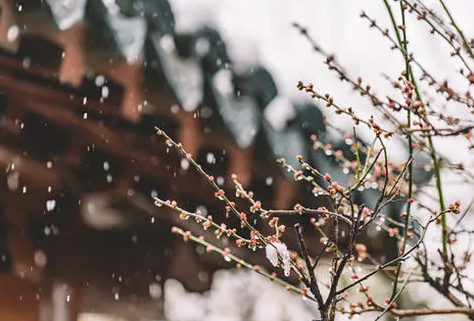 2022立春躲春能不能两个人一起