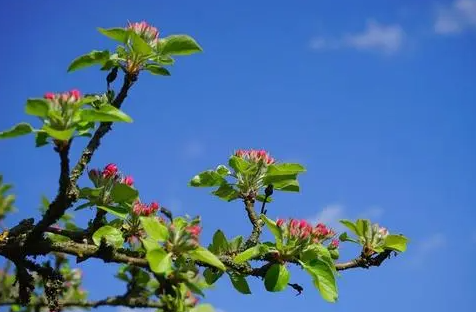 2022立春躲春能不能两个人一起