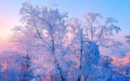 2021年过完冬至还要冷多久