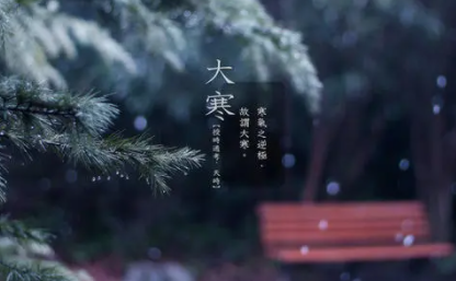 2021年大寒是几九第几天