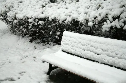 2021年大寒会不会下雪