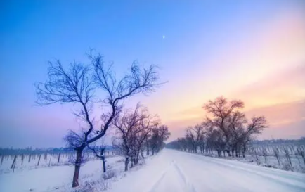 2021大寒之前冷还是之后冷