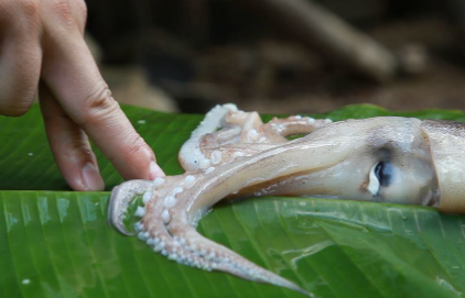 鱿鱼怎么去皮快一点