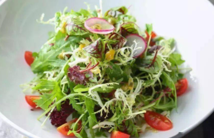 蔬菜沙拉的生菜要煮吗