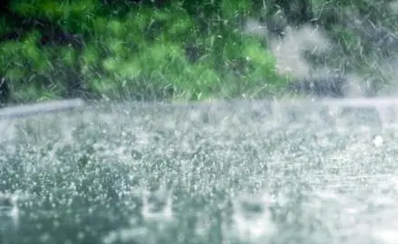 2021年腊八下雨好吗