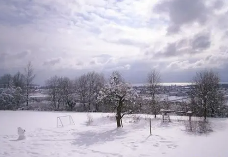 今年腊月会下大雪吗2022