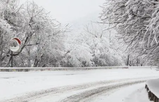 2022年大年初一那天有雪吗