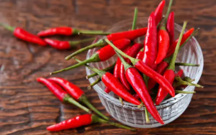 辣椒定植后怎么浇水