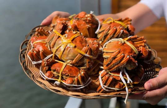 蒸大闸蟹没有紫苏可以用什么代替