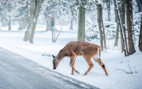 小寒进九还是大寒进九2021