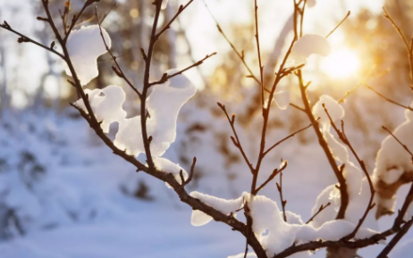 2021年二九是多少号