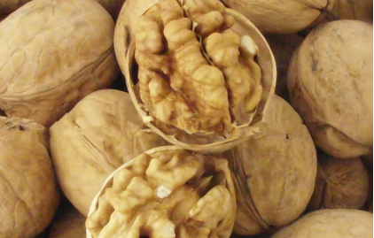 核桃发黑是不是坏了