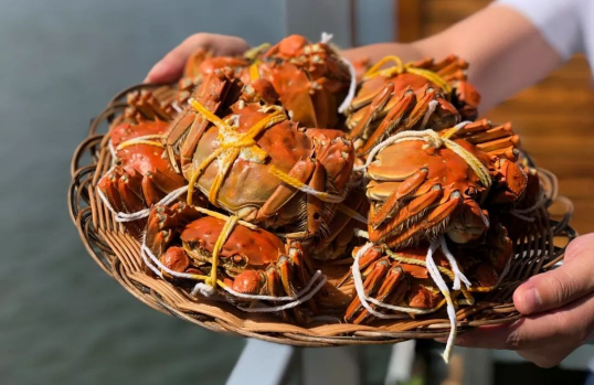 大闸蟹绑着活的久还是松开活的久