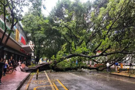 2022年前还有几次冷空气