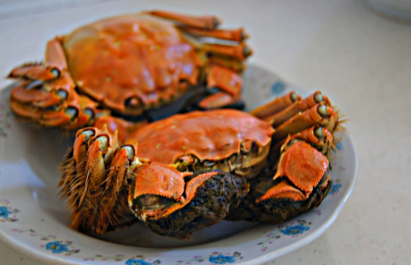 大闸蟹用电饭煲蒸要隔水蒸吗