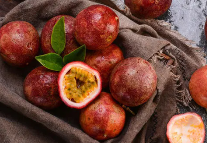 百香果秋种什么时候开始