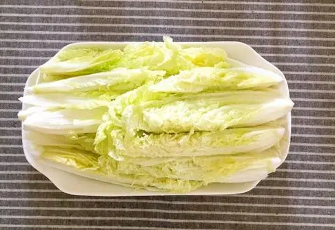 种植娃娃菜如何选择品种