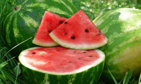 末伏在立秋前还是后2022