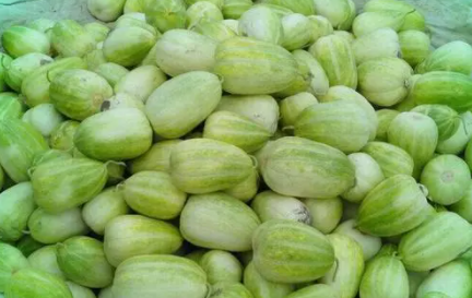 甜瓜苗怎么进行整枝