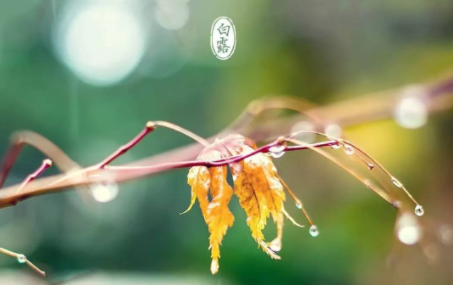 白露是几月份的节气2022