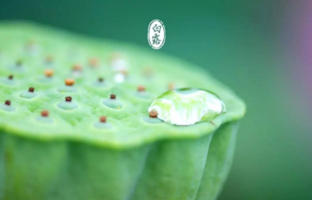 白露是几月份的节气2022
