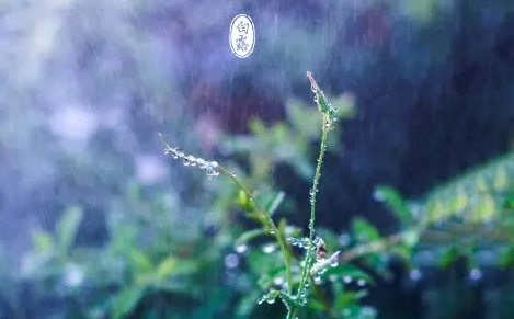 白露后还热吗要热多久