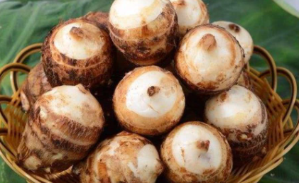 芋头属于难消化食物吗